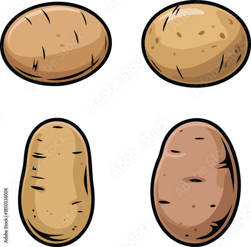 Potato colorful illustration set isolated on transparent background