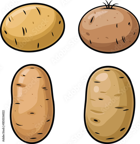 Potato colorful illustration set isolated on transparent background