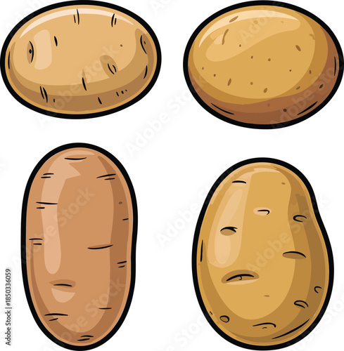 Potato colorful illustration set isolated on transparent background