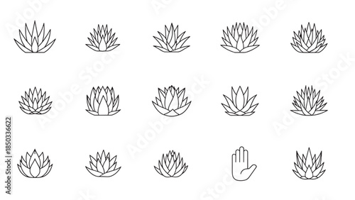 Black-and-white line art of stylized desert succulents and a hand, arranged in a grid pattern on a white background