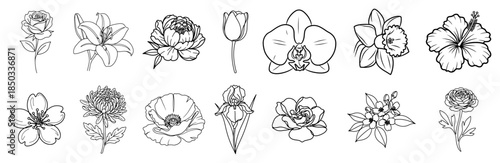 Flower Outline Icon Set Botanical and Floral Line Art Illustrations