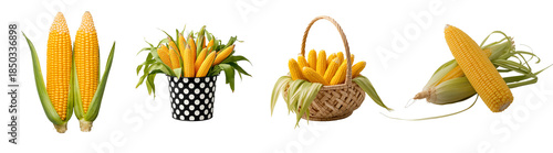 Fresh corn isolated on a transparent background