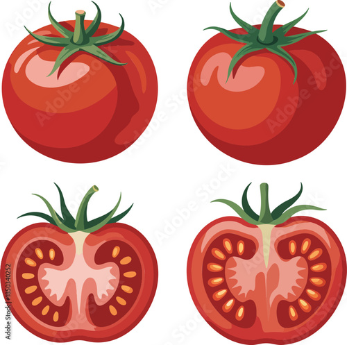 Tomato colorful illustration set isolated on transparent background
