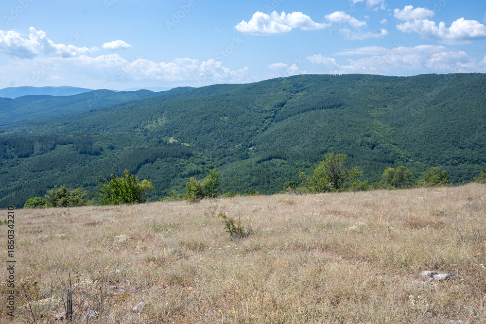 Naklejka premium Landscape of Rudina mountain, Bulgaria