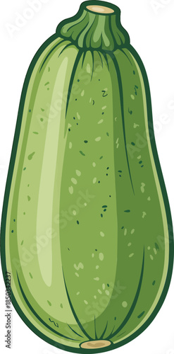 Zucchini colorful illustration isolated on transparent background