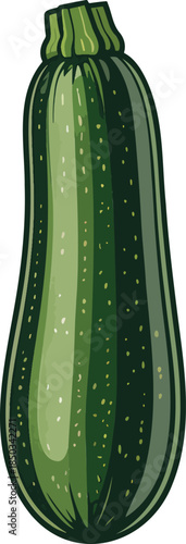 Zucchini colorful illustration isolated on transparent background