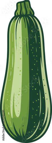Zucchini colorful illustration isolated on transparent background