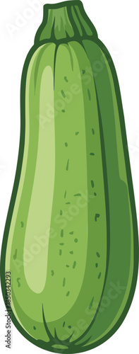 Zucchini colorful illustration isolated on transparent background