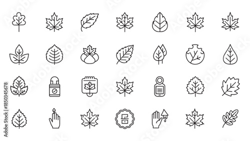Collection of outlined leaves and icon elements presented in a clean, minimalist design on a white background