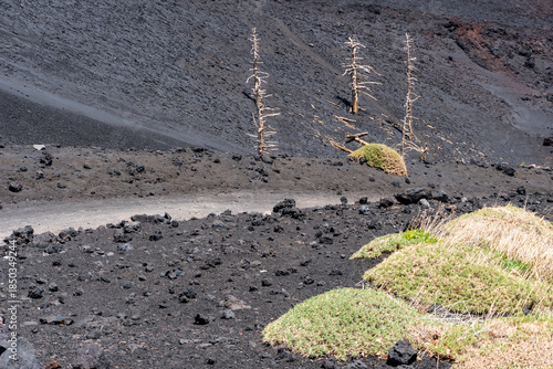 Dirt road among lava fields on the slopes of Mount Etna in Sicily during a sunny day