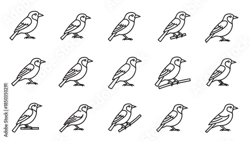Multiple simple bird outlines. Line art depiction on a white background showing perching and resting birds