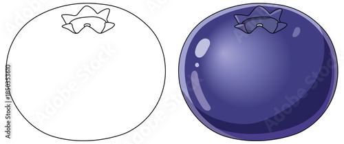 Blueberry illustration showing a smooth glossy round fruit with deep blue color subtle highlights and simple top detail created in a clean minimal style for food themed designs