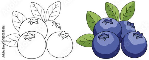 Blueberry illustration showing a cluster of round glossy deep blue fruits with leafy green accents smooth surfaces and simple top details created in a clean minimal style for food themed designs