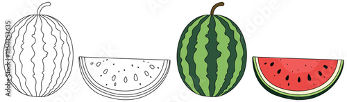Watermelon illustration showing a whole green striped fruit alongside a red juicy slice with seeds created in a clean minimal style for food themed designs