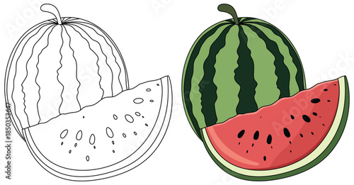 Watermelon illustration showing a whole green striped fruit with a large red juicy slice cut in front created in a clean minimal style for food themed designs