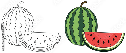 Watermelon illustration showing a whole green striped fruit with a bright red juicy slice placed in front created in a clean minimal style for food themed designs