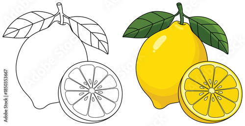Lemon illustration showing a bright yellow whole fruit with glossy highlights and a fresh sliced lemon piece in a clean minimal vector style for food themed designs