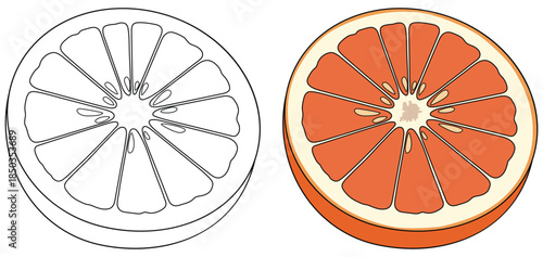 Orange vector illustration featuring a whole vibrant citrus fruit with a glossy surface and a sliced section showing detailed segments ideal for clean fresh food themed graphic design