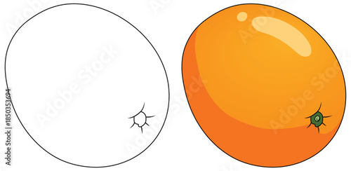Orange fruit vector illustration featuring a smooth glossy citrus with bright gradients and a simple organic shape ideal for food themed artwork and healthy produce design projects