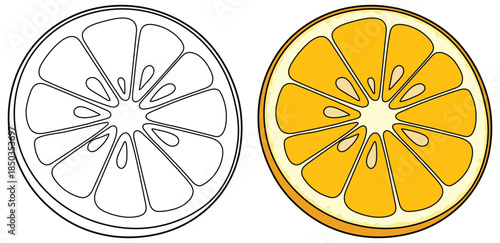 Yellow citrus slice vector illustration showing a detailed round fruit section with bright segments and seeds arranged in a clean symmetrical pattern for food themed designs