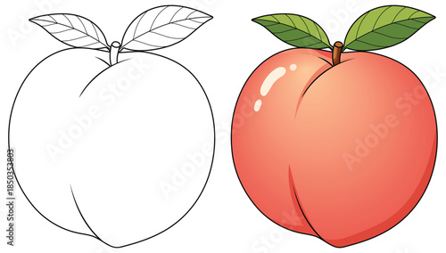 Peach illustration showcasing a single ripe fruit with smooth orange skin and two fresh green leaves attached to a short brown stem presented in a clean modern vector style for food themed uses