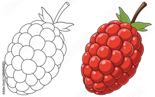 Raspberry illustration showing a bright red berry made of glossy rounded drupelets with a small stem and green leaves in a clean modern vector style suitable for food themed designs