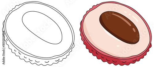 Lychee half illustration showing the inner glossy seed and soft translucent flesh with a textured rind presented in a clean vector style suitable for food related design projects