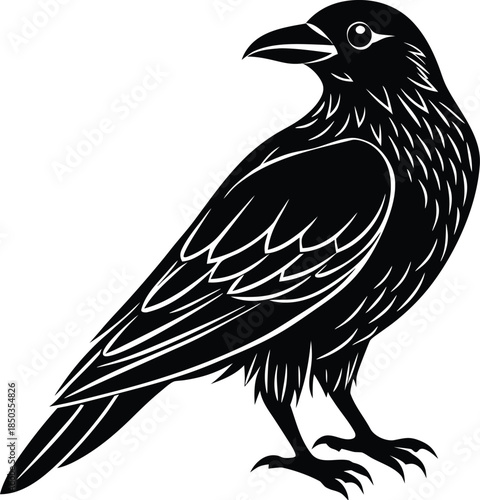 Black raven crow silhouette vector illustration