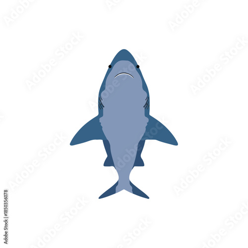 Overhead Shark Illustration Blue Aquatic Animal Design