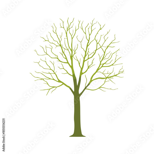 Simple Tree Silhouette Natural Green on White Background