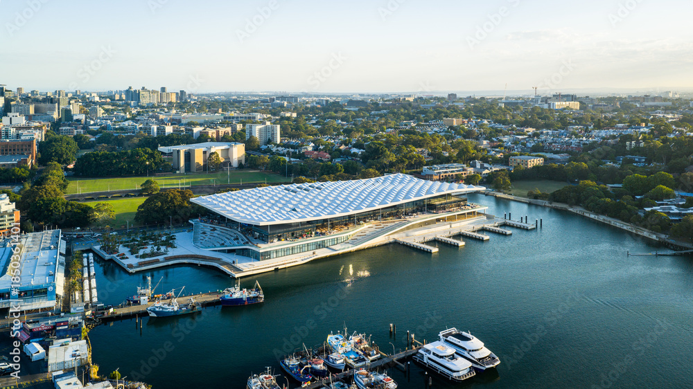 Naklejka premium Panoramic Golden Sunset Over Blackwattle Bay City Views