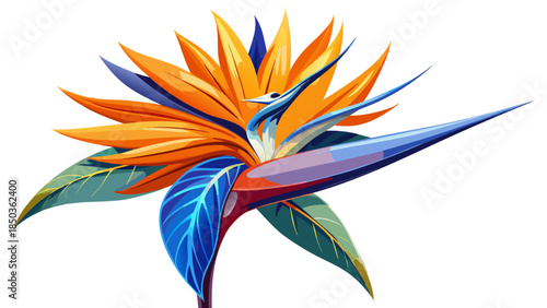 Very beautiful bird of paradise flower isolated on a clean white background, highlighting bold orange and blue petals, sculptural form, and elegant tropical character with crisp botanical detail.