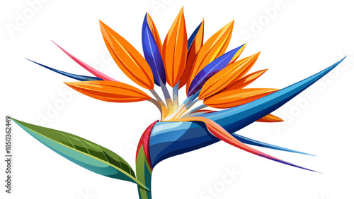 Very beautiful bird of paradise flower isolated on a clean white background, highlighting bold orange and blue petals, sculptural form, and elegant tropical character with crisp botanical detail.