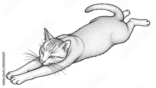 A stretching cat in black and white dot work vector style, ideal for pet-related designs and illustrations