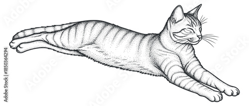 A stretching cat with stripes in black and white outline vector style, perfect for pet-themed designs and illustrations