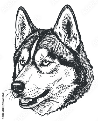 A detailed illustration of a husky dog head in black and white line art style, suitable for pet-related branding and designs