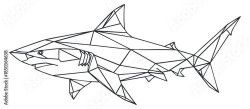 A geometric outline illustration of a shark in black and white vector style, suitable for marine-themed designs