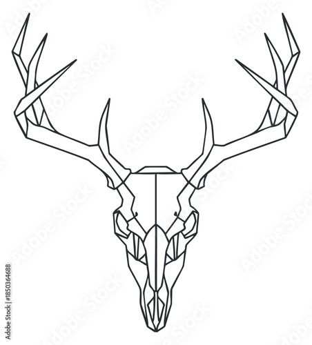 A geometric outline illustration of a deer skull with antlers in minimalist vector style, suitable for wildlife and nature-themed designs