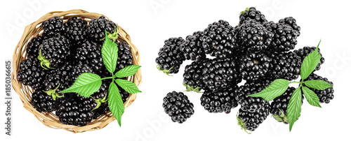 blackberry with leaf in in a wicker basket isolated on a white background. Top view. Flat lay