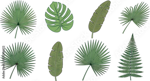 Assortment of eight assorted tropical green leaves on white background