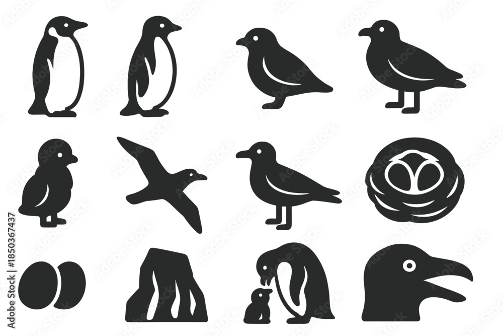 Fototapeta premium Antarctic Birds Icons. Solid style icons of Antarctic birds: emperor penguin, Adelie penguin, snow petrel, skua, petrel chick,