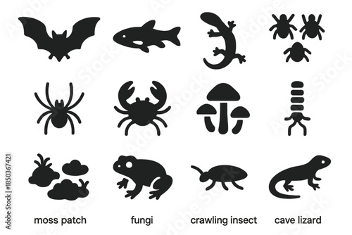 Cave Fauna Icons. Solid style icons of Cave fauna: bat silhouette, cave fish, cave salamander, insect cluster, spider, crustacean,
