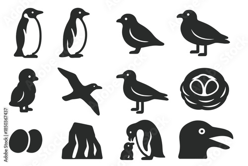 Antarctic Birds Icons. Solid style icons of Antarctic birds: emperor penguin, Adelie penguin, snow petrel, skua, petrel chick,