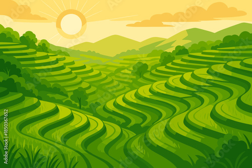 Golden Rice Terraces. Scenic view of cascading rice terraces glowing under golden sunlight, vibrant green tones, and serene