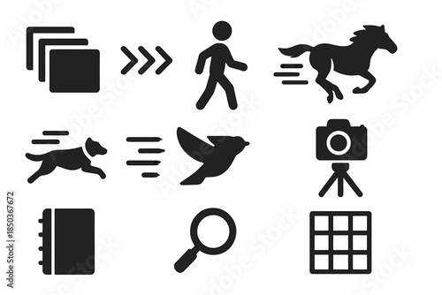 Sequence Motion Icons. Solid style icons of observation of sequential movement: sequence frames, arrows, human walking, horse