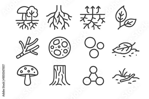 Forest Network Icons. Line style icons of Forest Networks: Mycorrhizal Association, Root System, Nutrient Flow, Underground Web;