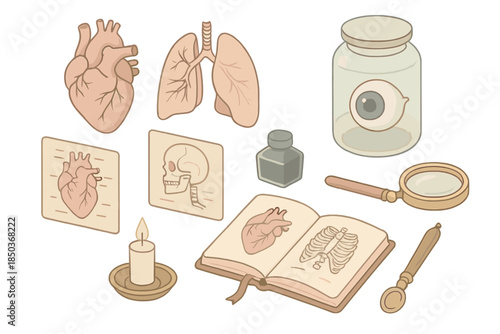 Dreamlike Medical Archives. Isometric vector illustration set of Dreamlike Medical Archive: floating transparent organs, thin-line