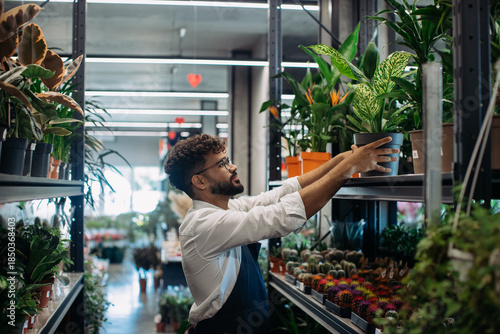 Foto Employee arranging green houseplants in modern flower shop
