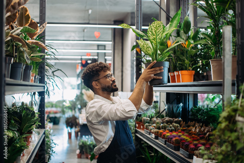 Slika na platnu Florist man arranging houseplants in garden center