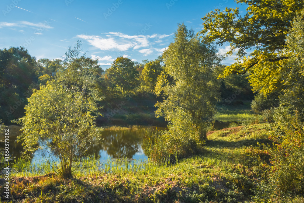 Fototapeta premium tranquillité de l'étang ensoleillé 